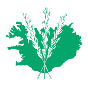 Vettvangsvina við mælingar