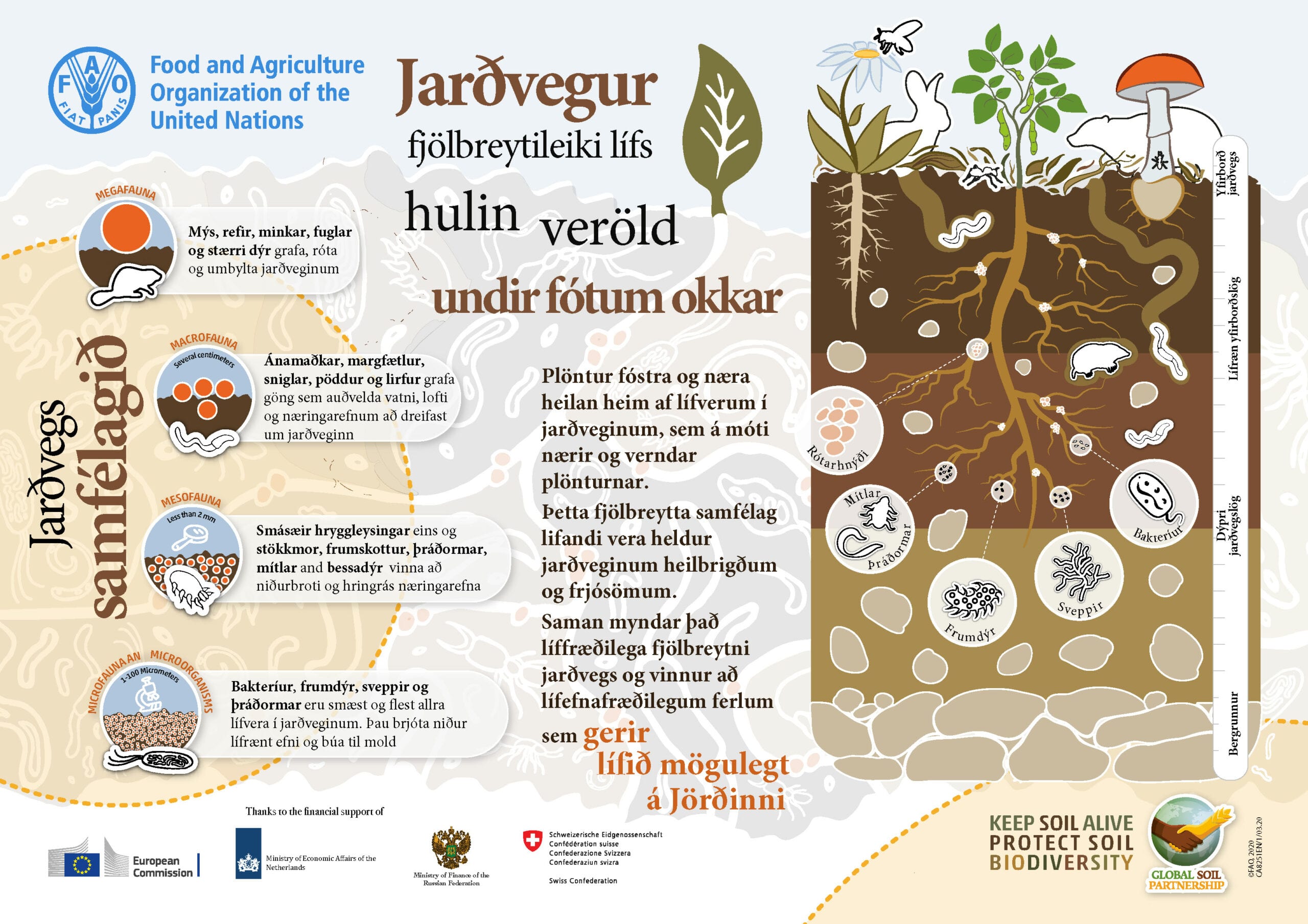 ISL_Hulin_verold_undir_Foturm_okkar_ca8251_AMA