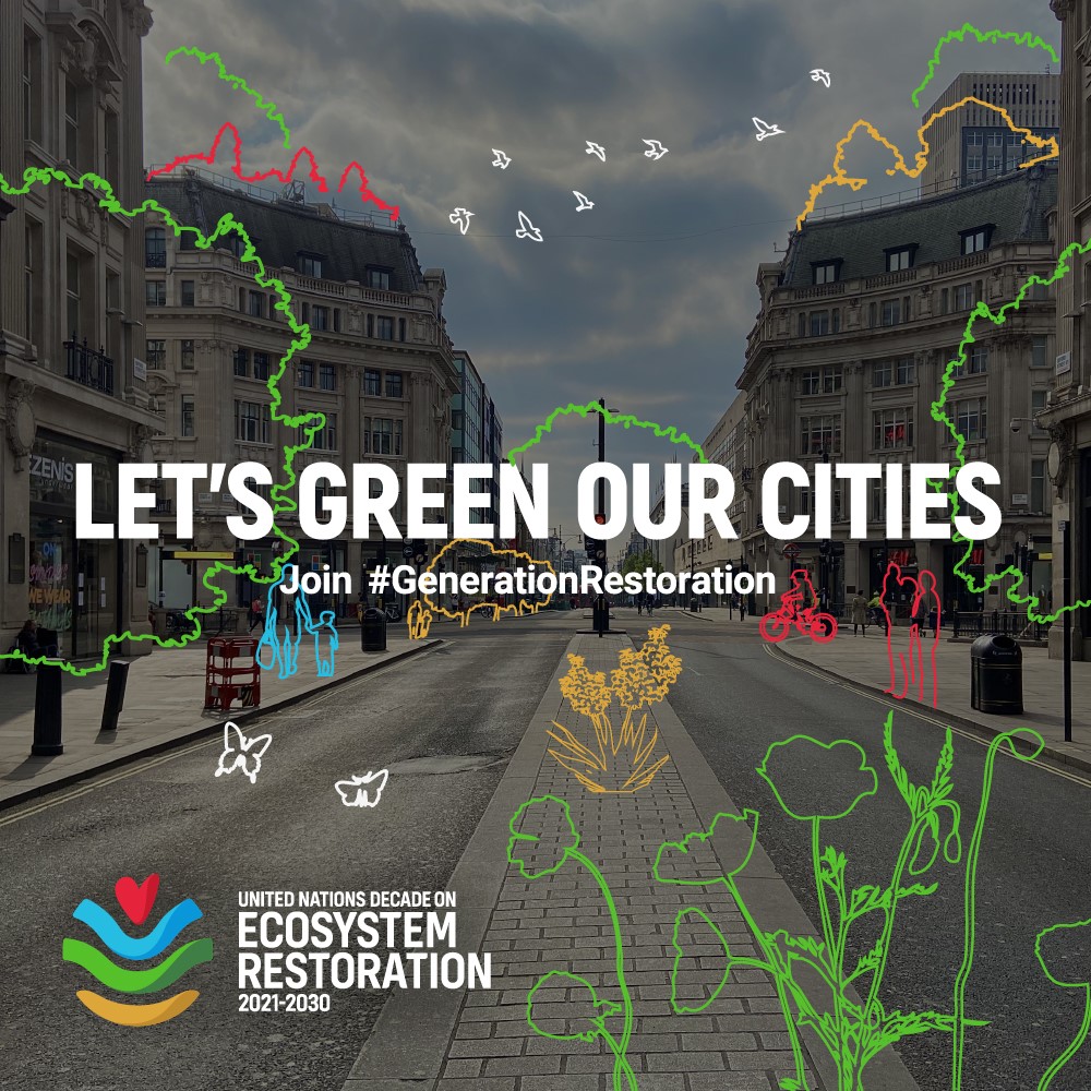 Áratugur endurheimtar vistkerfa-Landgræðslan