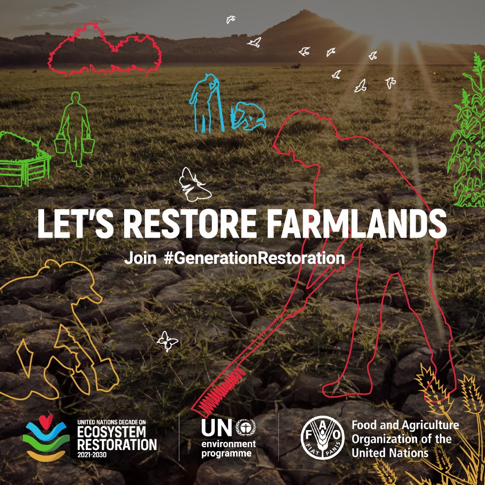 Áratugur endurheimtar vistkerfa-Landgræðslan