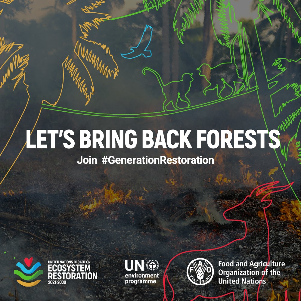 Áratugur endurheimtar vistkerfa-Landgræðslan