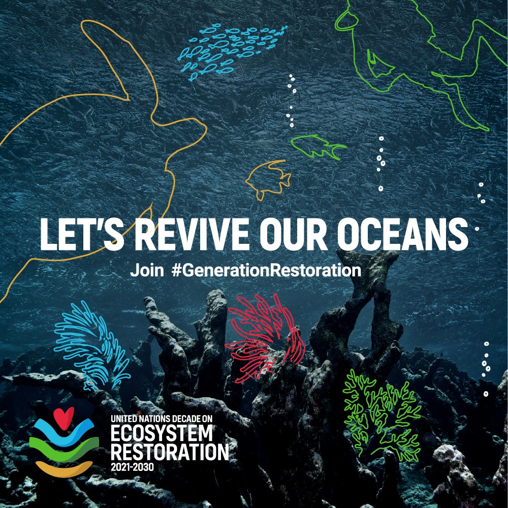 Áratugur endurheimtar vistkerfa-Landgræðslan