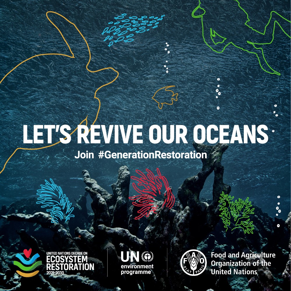 Áratugur endurheimtar vistkerfa-Landgræðslan