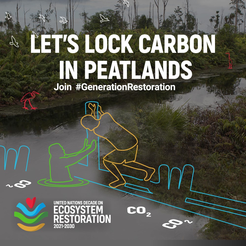 Áratugur endurheimtar vistkerfa-Landgræðslan