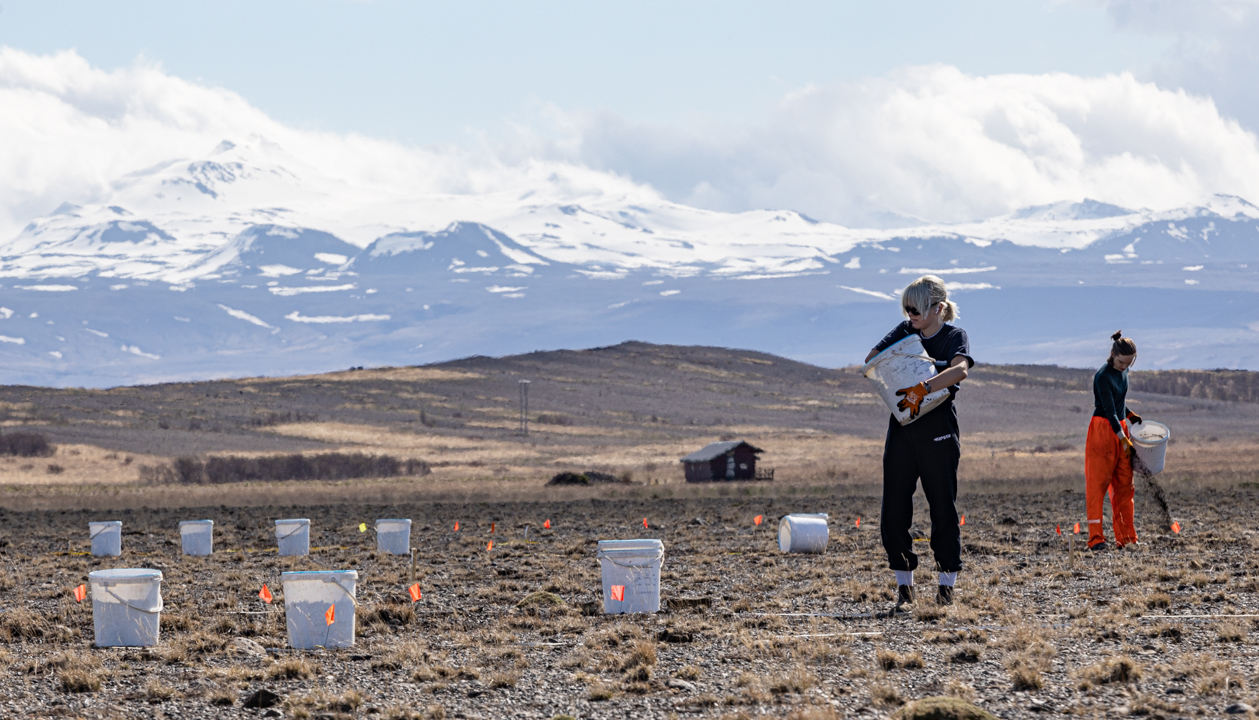 Landgræðslustjóri afhendir bændum Stóru-Mörk III landgræðsluverðlaunin 2021