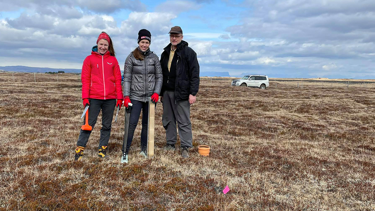 Vettvangsvina við mælingar