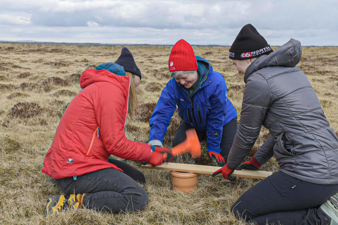 Vettvangsvina við mælingar