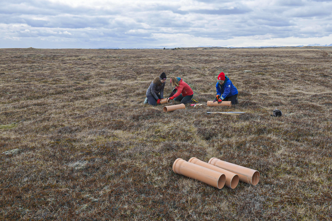 Vettvangsvina við mælingar