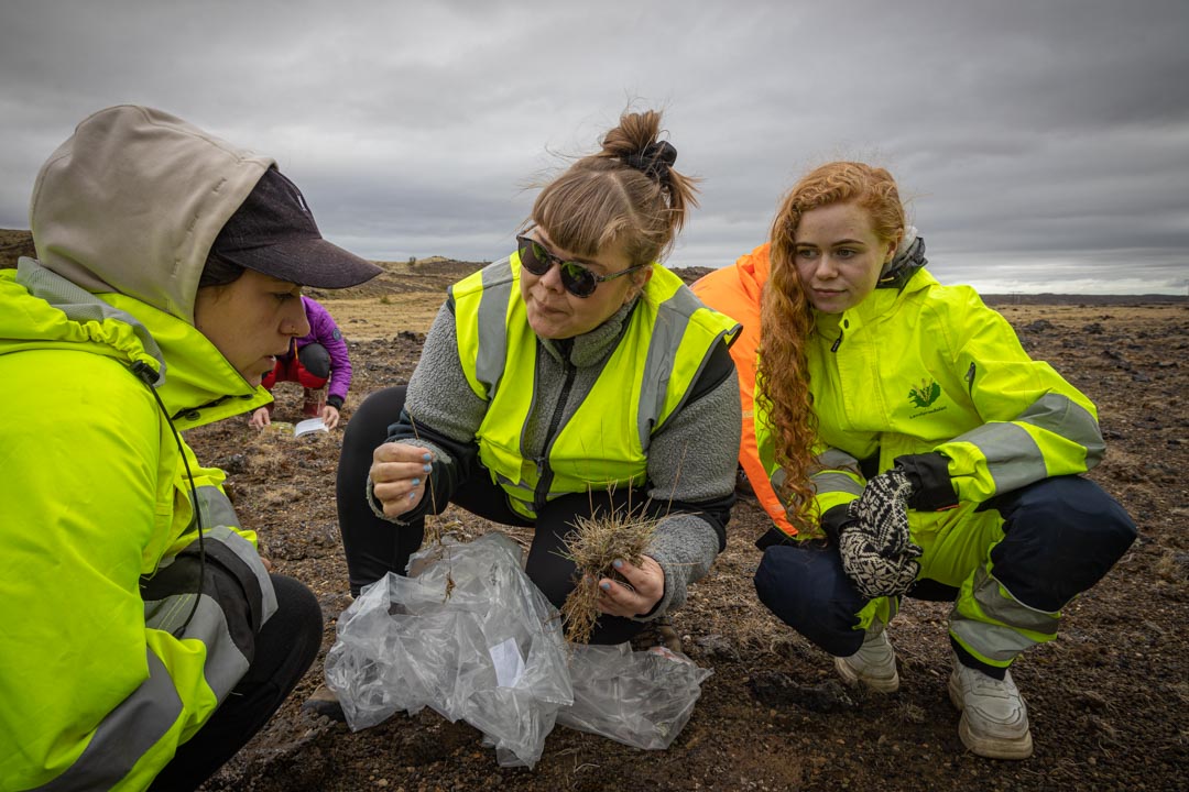 Ágústa Helgadóttir sýnir sumarstarfsfólki Landgræðslunnar gróður