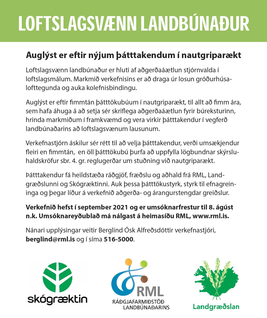 Auglýst er eftir nýjum þátttakendum í nautgriparækt