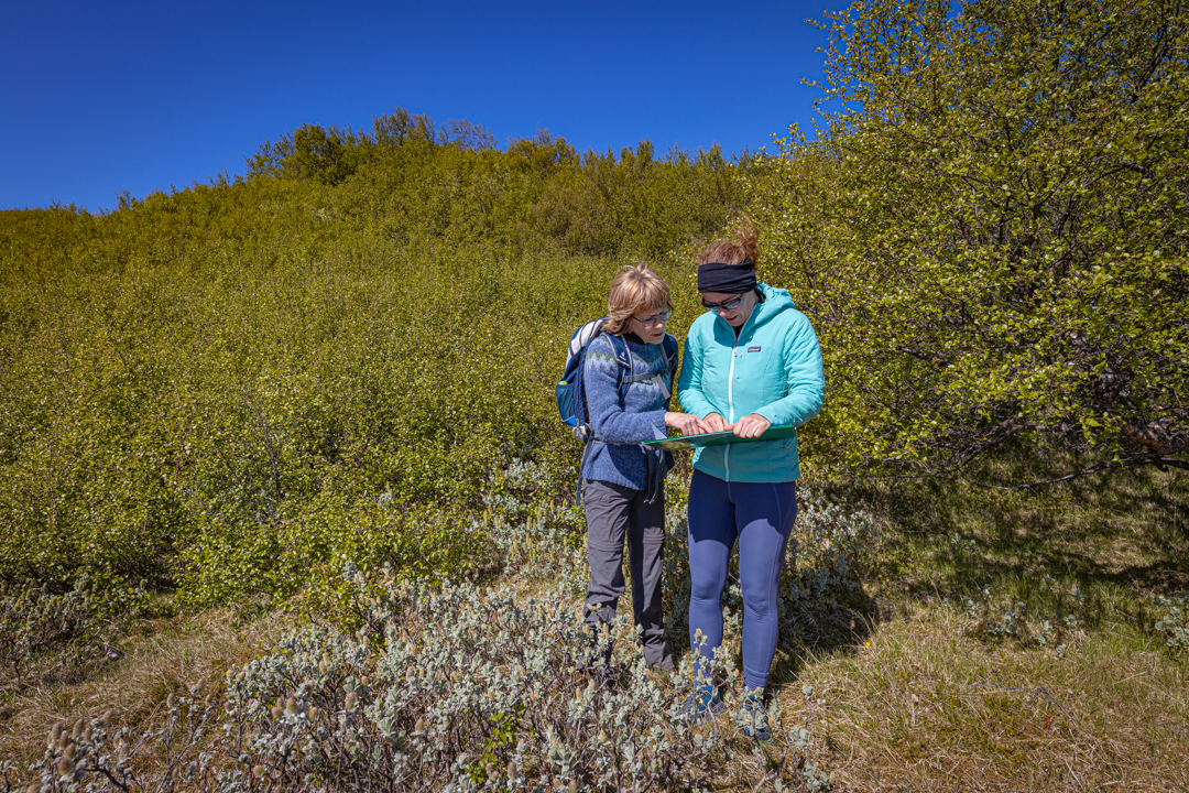 Sigþrúður Jónsdóttir beitarsérfræðingur og Bryndís Marteinsdóttir verkefnastjóri skoða loftmynd Áslákstungum.