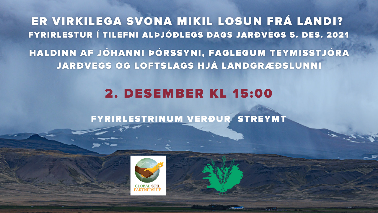 Fyrirlestur Jóhann Þórsson Fyrirlestur Jóhann Þórsson