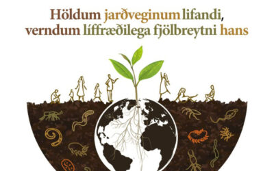 Er virkilega svona mikil losun frá landi?