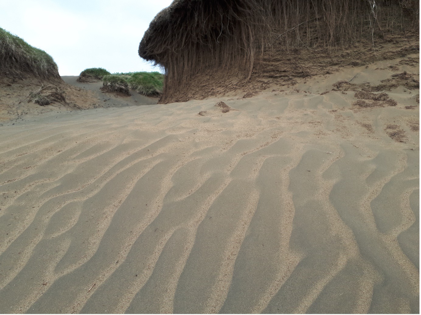 Mikill laus sandur við rofabörð