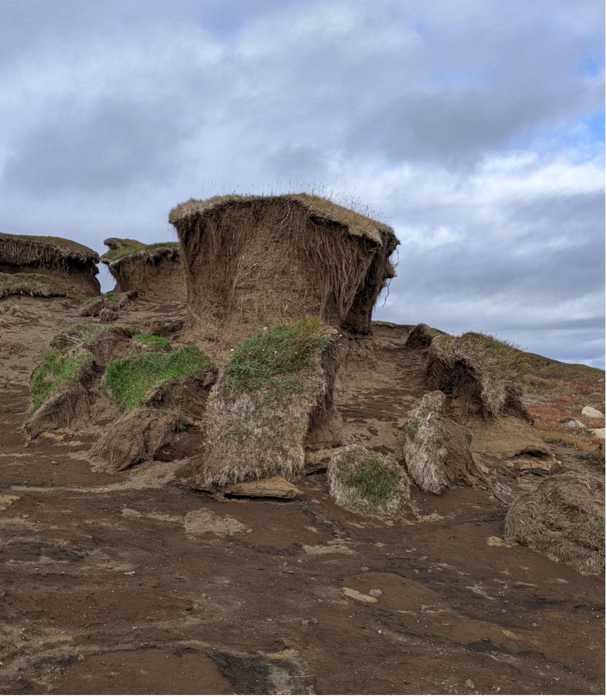Rofabarð sem sýnir virka jarðvegseyðingu