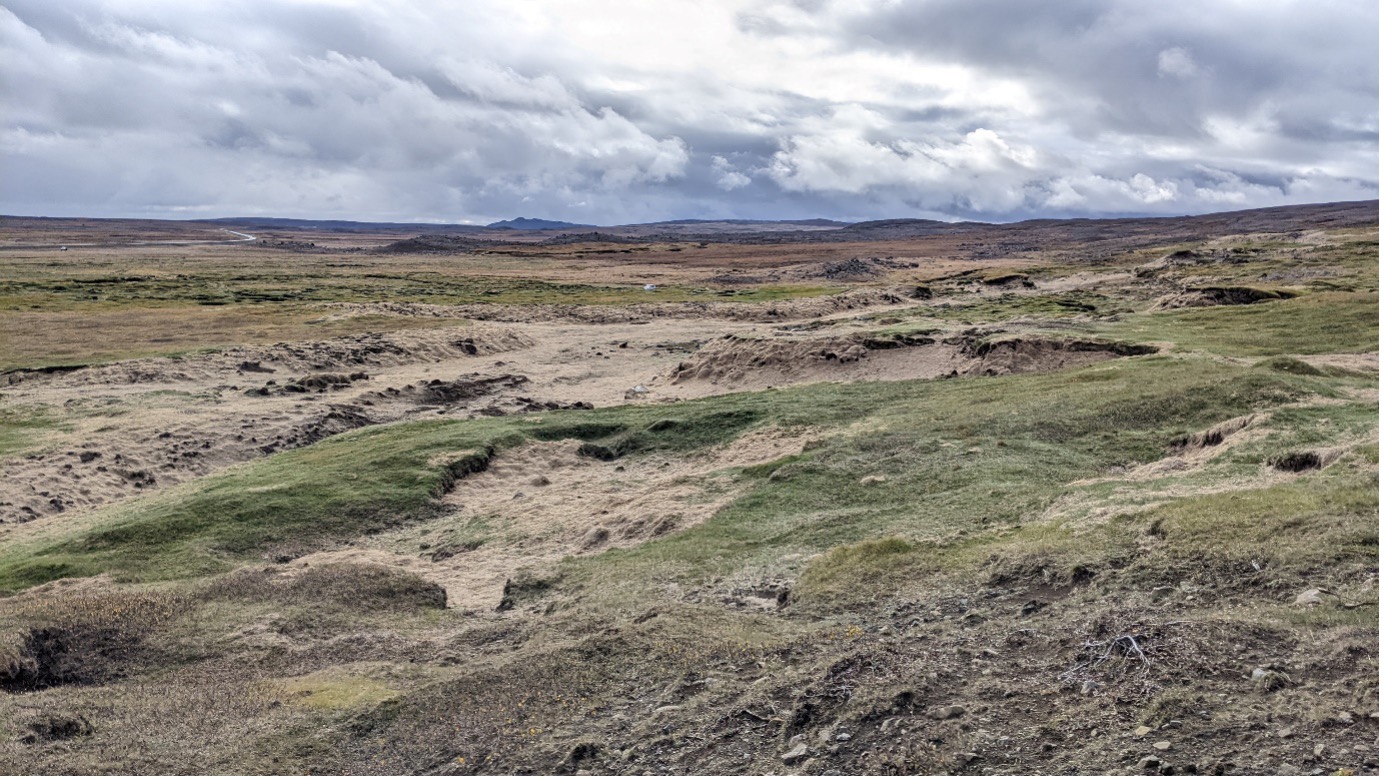 Myndin sýnir ástand svæðisins eftir aðgerðir þar sem rofabörð voru þakin heyi
