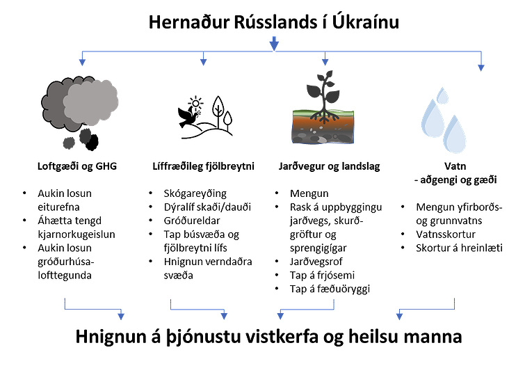 Skema sem sýnir fjölbreyttar afleiðingar stríðsins í Úkraínu