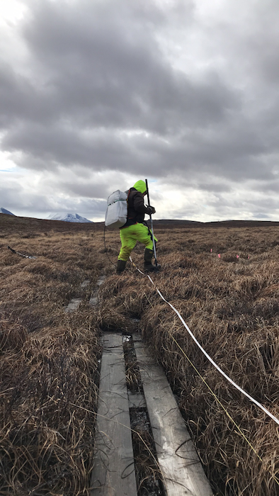 Vöktun votlendis - Vor í mýri