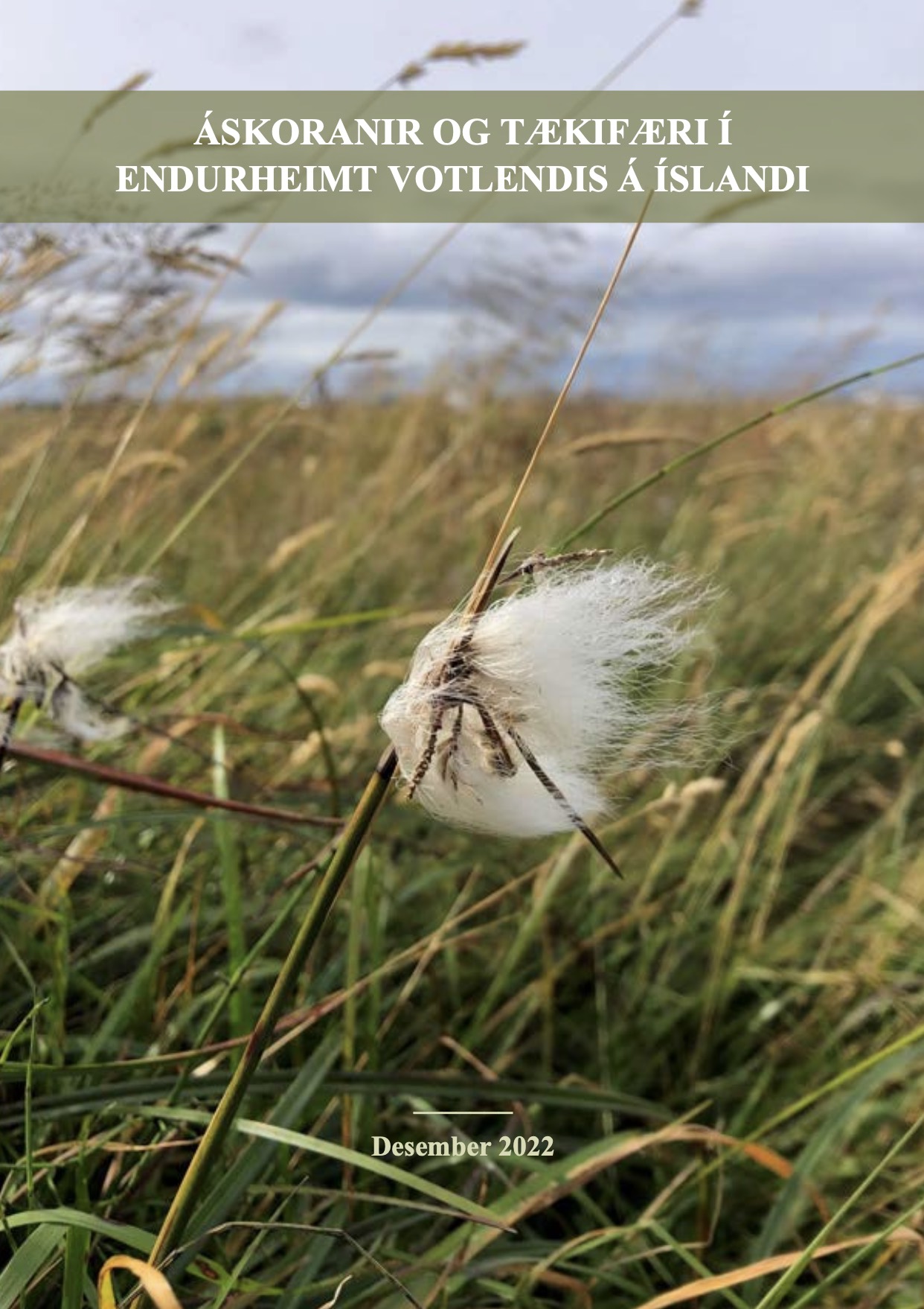votlendisskýrsla forsíða votlendisskýrslu