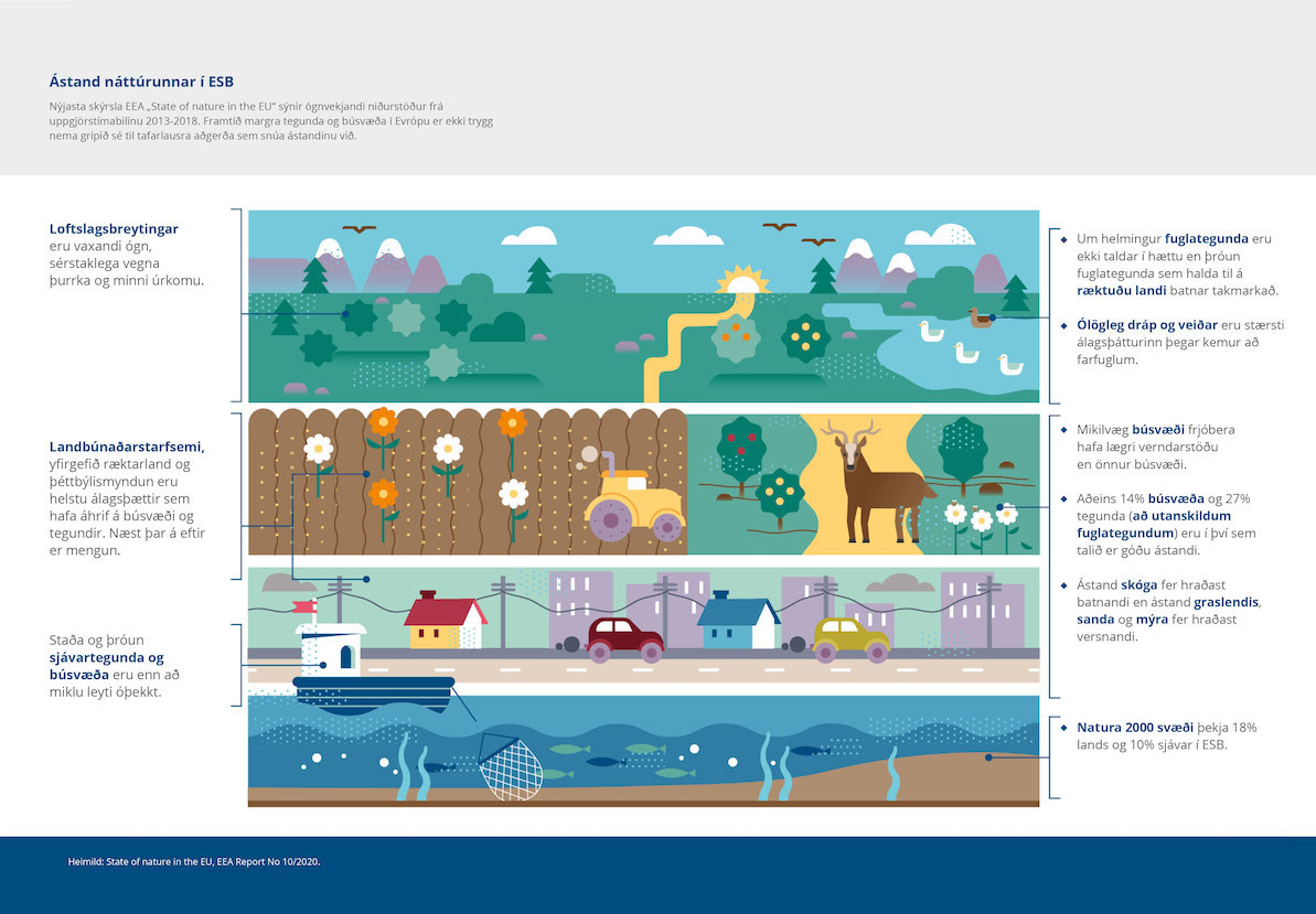 Samantekt greiningarinnar í nokkrum punktum