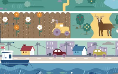 Evrópa þarf að gera betur í endurheimt vistkerfa