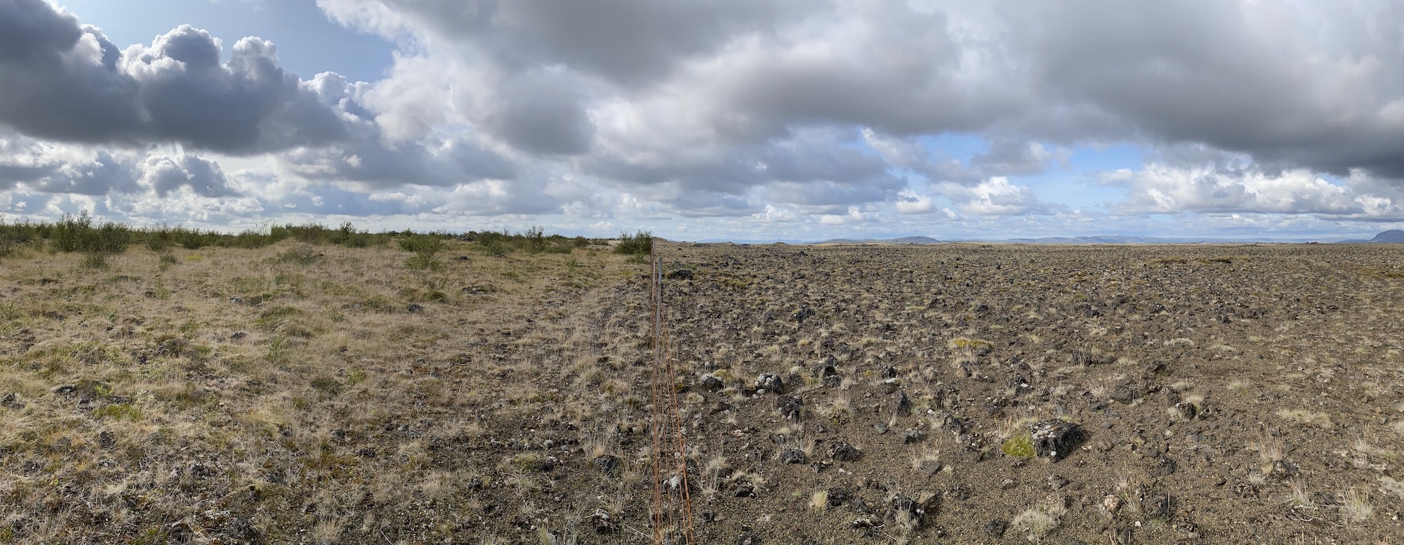 Birki uppgræðsla í Gunnarsholti - mynd sýnir muninn á svæði sem er hnignað og á svæði þar sem birki uppgræðsla á sér stað
