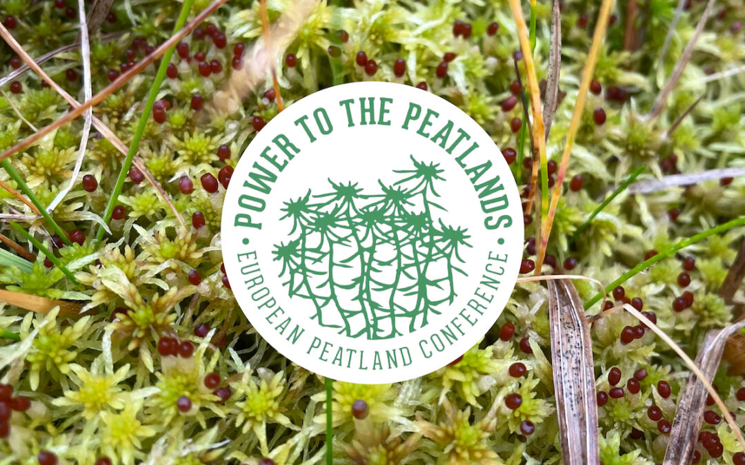 Máttur til mýranna!