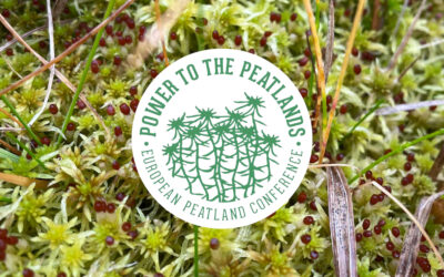 Máttur til mýranna!