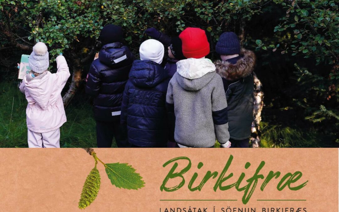 Birkifrætínsla í Vesturbyggð