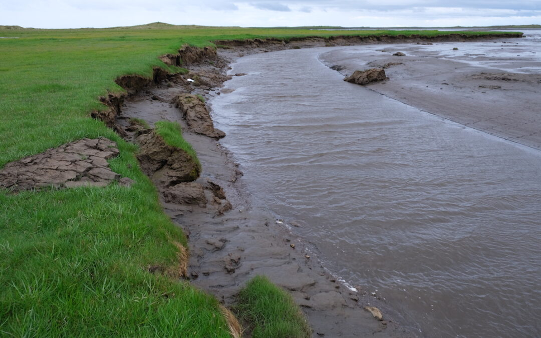 Auglýsing um styrki til varna gegn landbroti