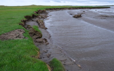 Auglýsing um styrki til varna gegn landbroti