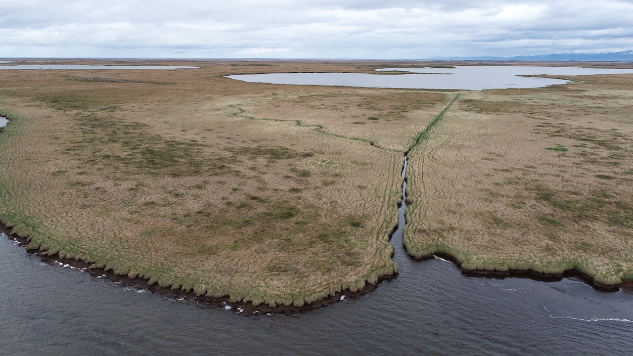 Kálfalækjavatnasvið